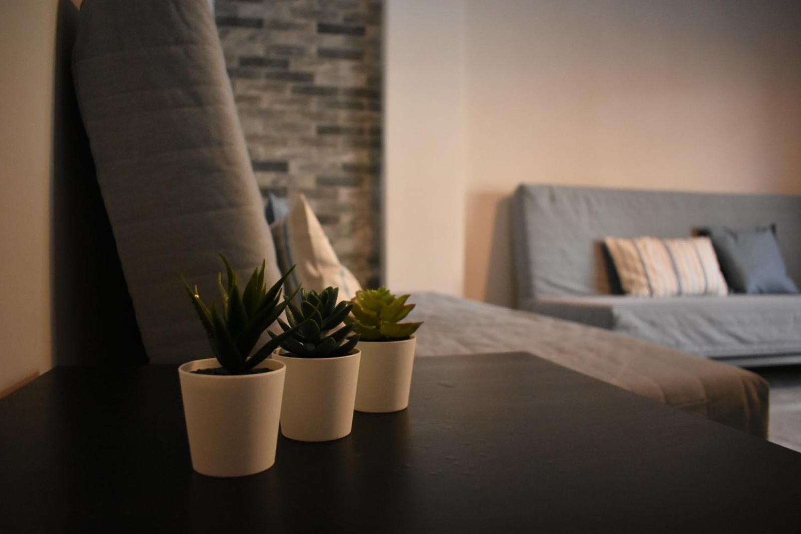 Davidana Deluxe Apartments Nea Kallikrateia ห้อง รูปภาพ